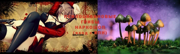тгк Алексеевка
