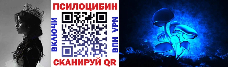 Галлюциногенные грибы Cubensis  Закаменск 